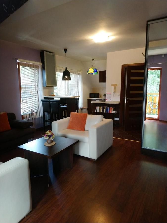 Apartament Glamour I ザコパネ エクステリア 写真