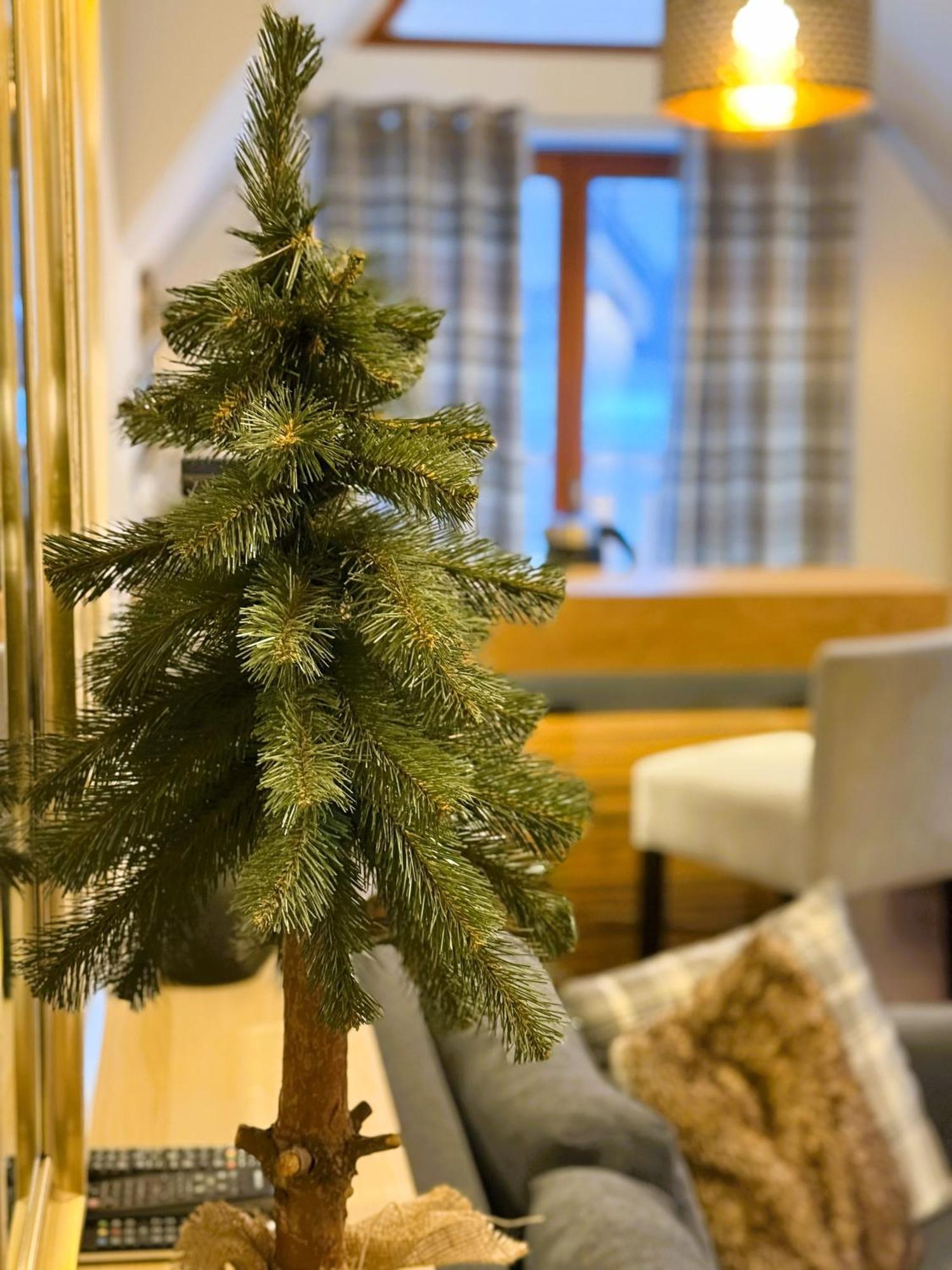 Apartament Glamour I ザコパネ エクステリア 写真