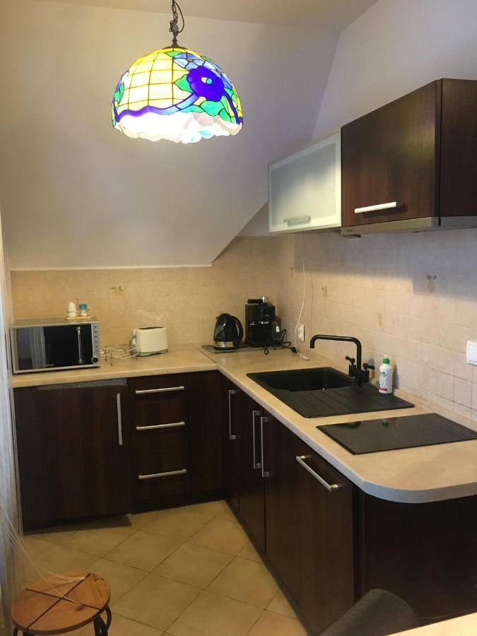 Apartament Glamour I ザコパネ エクステリア 写真